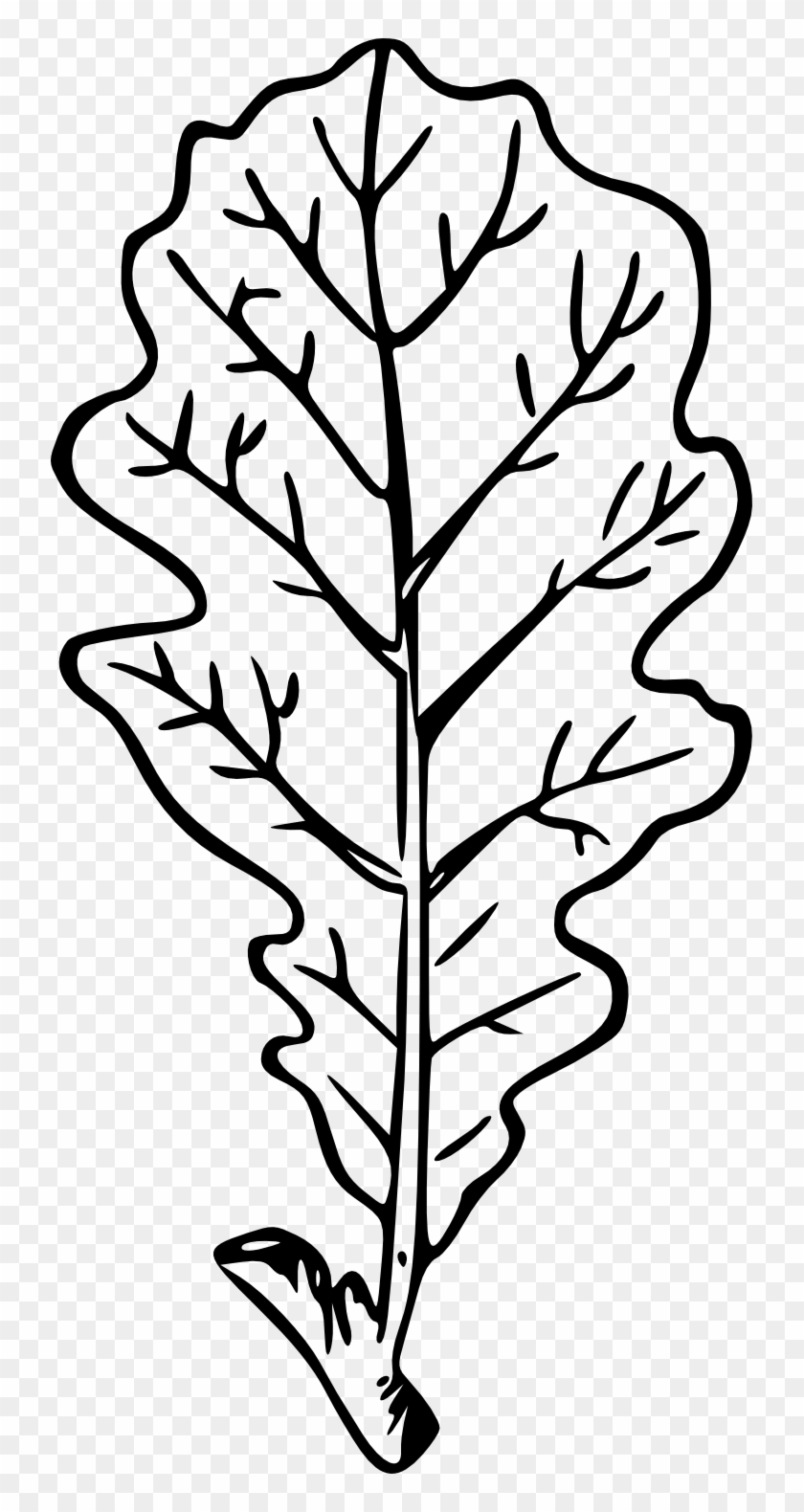 Drawn Leaves Transparent - Line Art Clipart #4591730