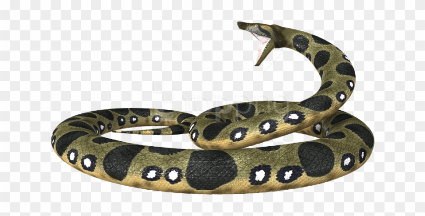 Free Png Download Vipers Png Images Background Png - Snakes Clipart