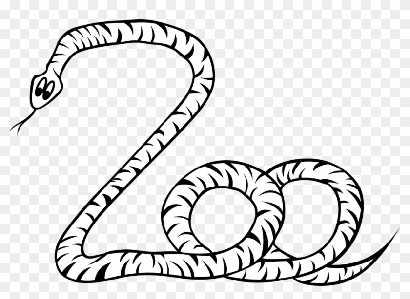 Snake Nature Animal Viper Gad Fauna No Background - Illustration Clipart #4592068