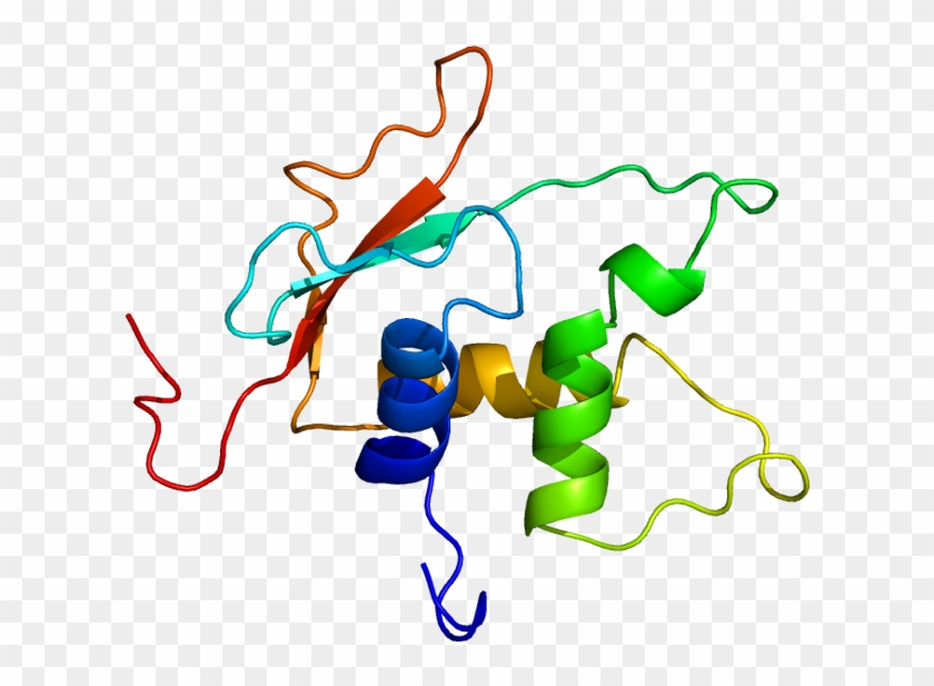 Protein Irf4 Pdb 2dll - Egfp Protein Clipart #4592337