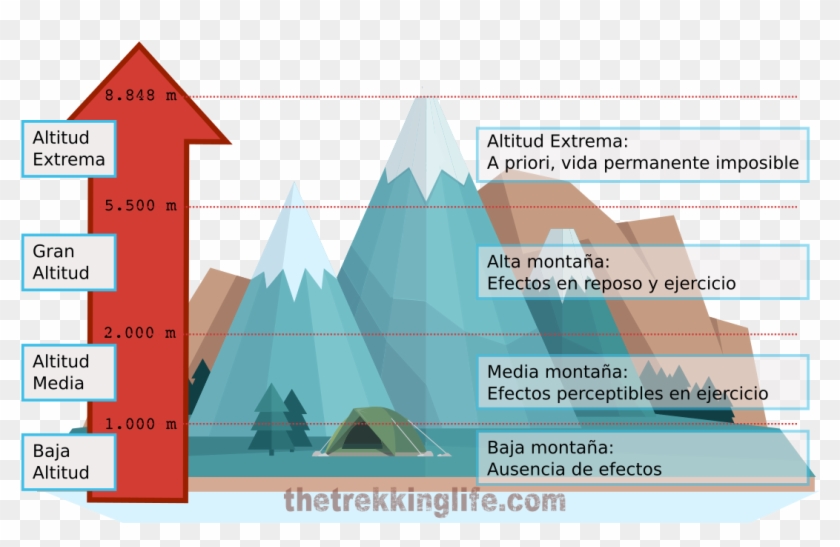 Altitud Y Efectos En El Organismo - Efectos De La Altitud Clipart #4592456