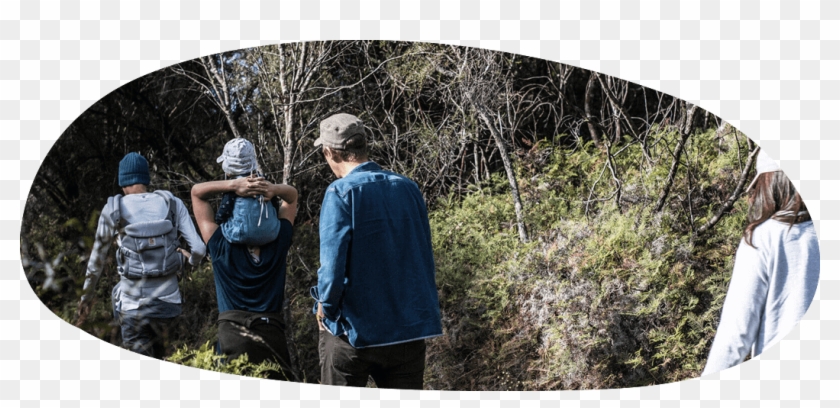 Happy Birthday To Me - Tree Clipart #4592830