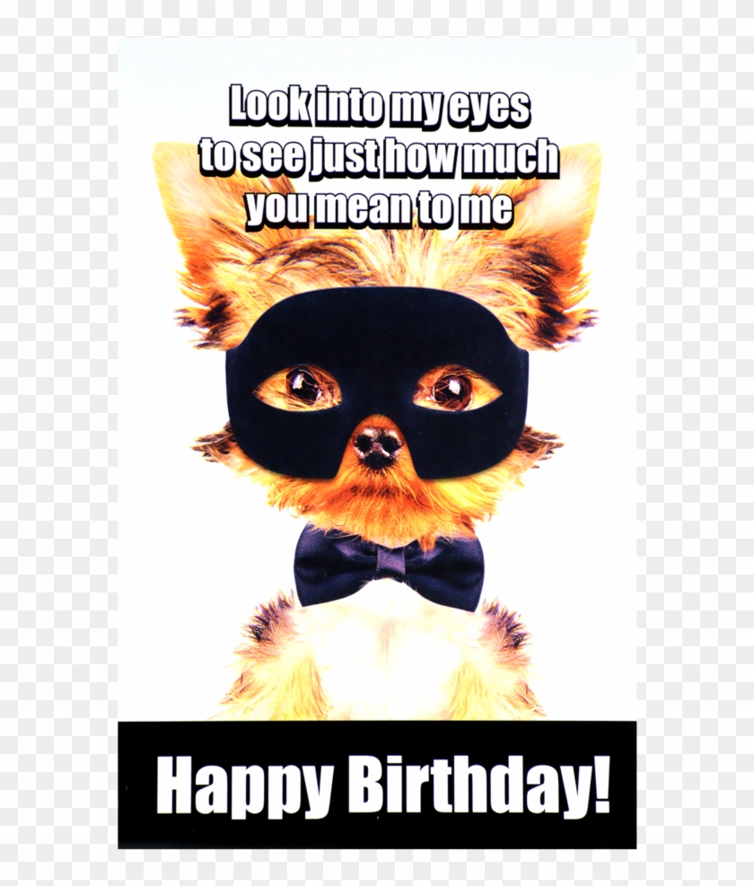 Stock Photography Clipart #4593160