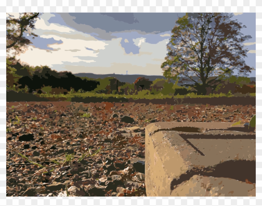 Nature Reserve Soil Shrubland Prairie Ecoregion - Tree Clipart