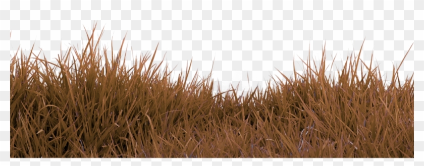 Red Grass Png Visual Earth Lightroom Preset - Greengrass Hd Png Clipart #4593484