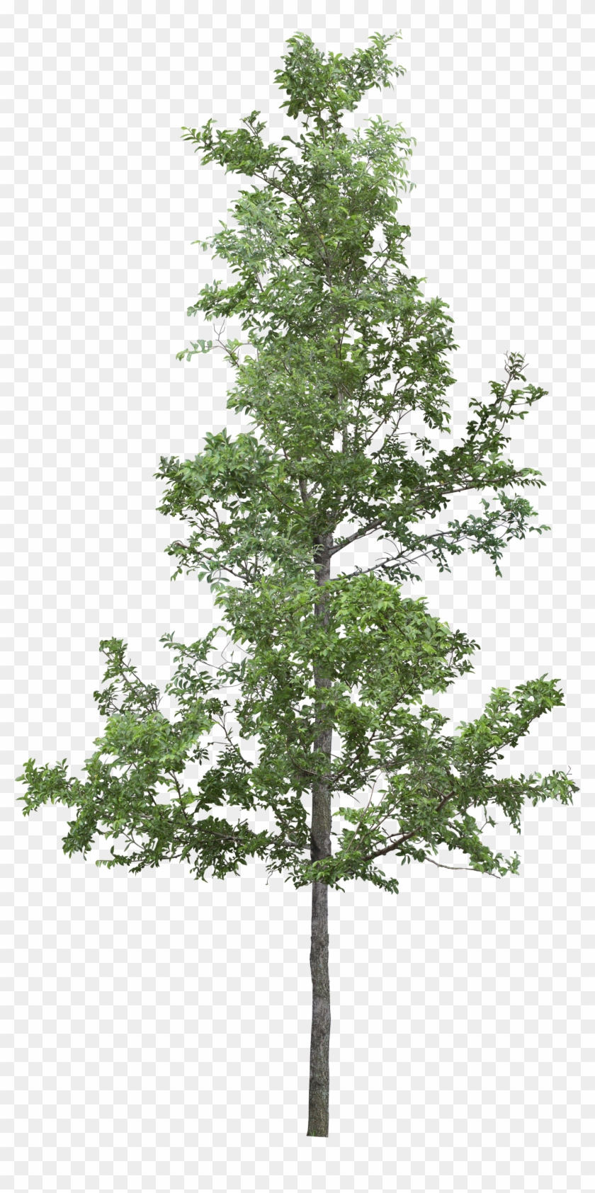 Upon Whose Bosom Snow Has Lain - Segundo Nivel De Casa Clipart #4593535