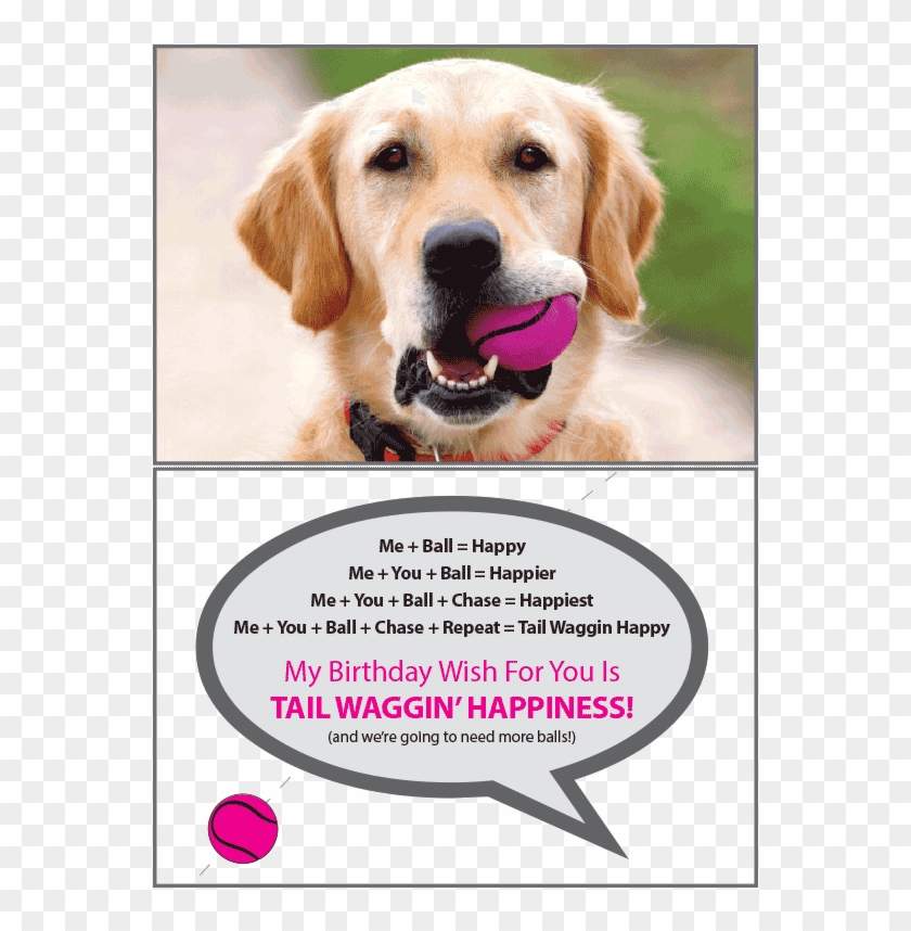 Birthday - Tennis Ball - Dog With Ball In Mouth Clipart #4593563