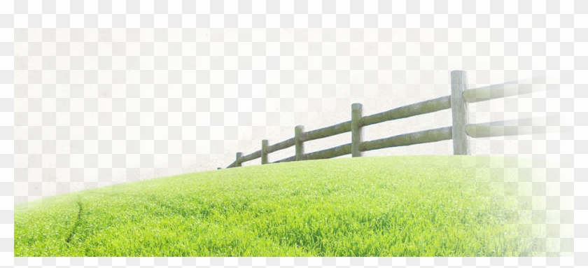 Organic Prairie - Grass Pasture Clipart #4593570