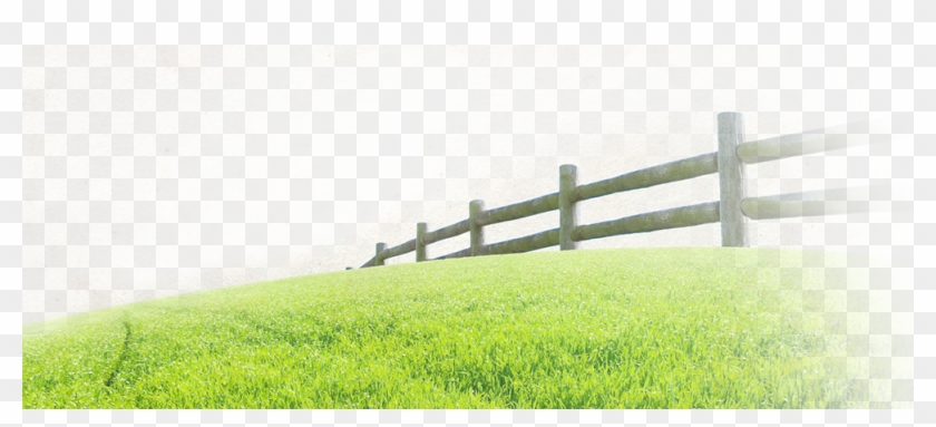 Organic Prairie - Grass Pasture Clipart