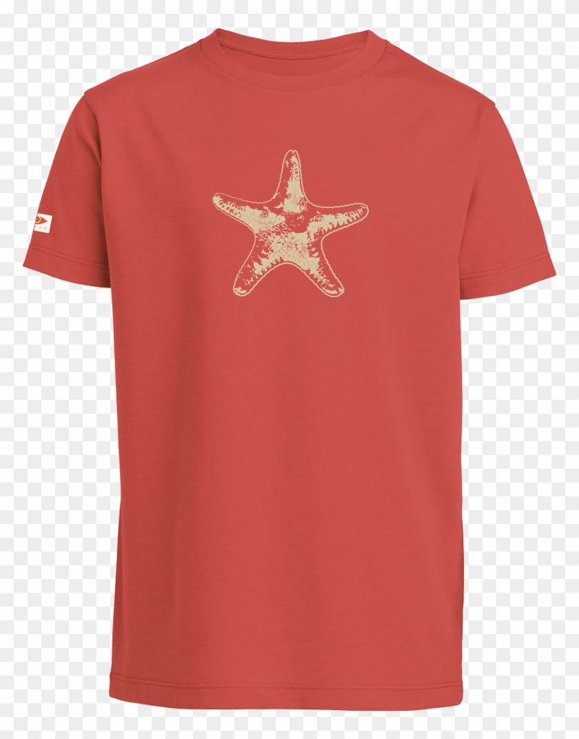 Camiseta Niño Estrella De Mar 5-8 Años - Gucci T Shirt Polo For Kids Clipart #4593572