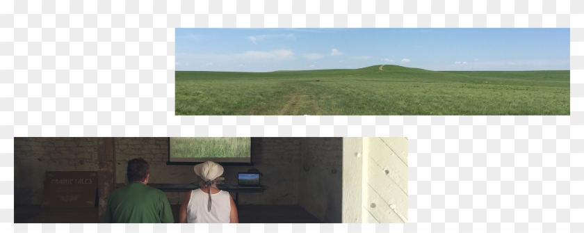 Committments - Grass Clipart #4593630