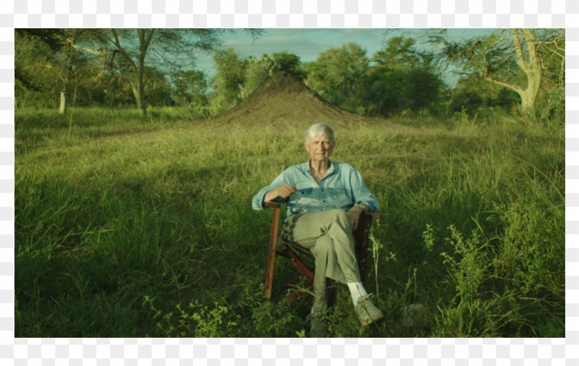 Eo Wilson Biophilia Clipart