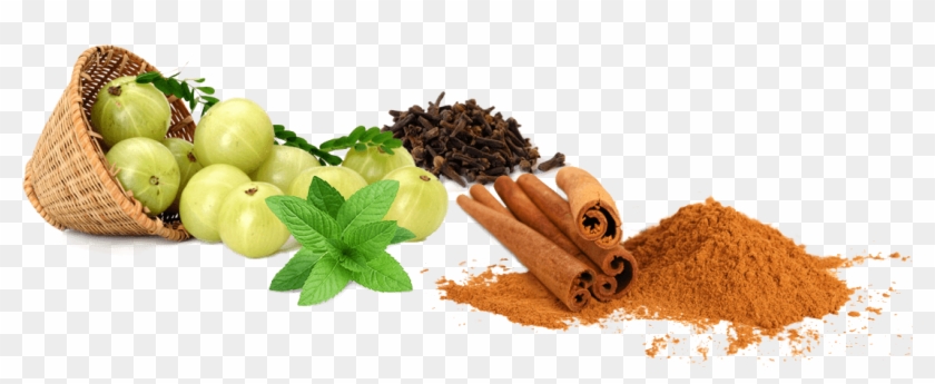 Download Png Image Report - Ayurveda Png Clipart #4594046