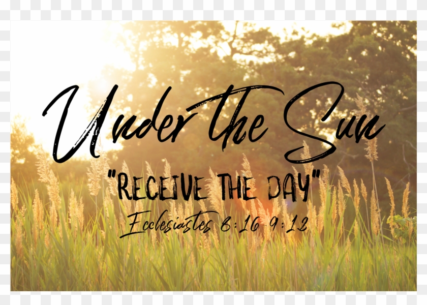 Prairie Grass Png Clipart #4594412