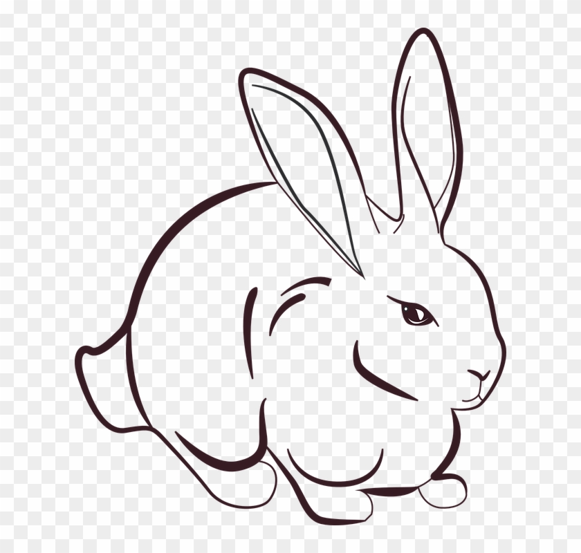 Rabbit Animal Grass Animals Prairie Dandelion - Art Drawing Of Rabbit Clipart