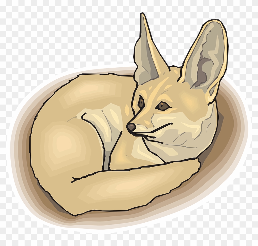 Fox Brown Large Ears Curled Wildlife Mammal - Fenec Fox Clipart Transparent - Png Download