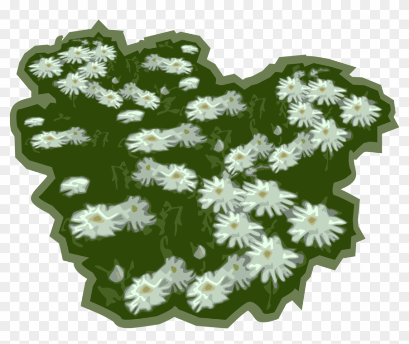 Daisy Flowers In - African Daisy Clipart