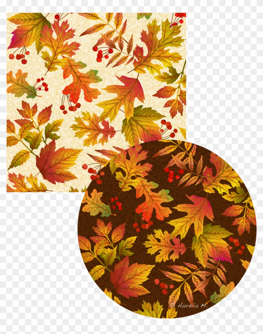 Fl05a Fall Leaves Cream Fl05bc Fall Leaves Circle - Maple Leaf Clipart
