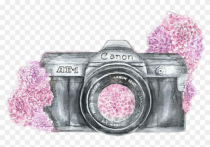 #camerastickers #cute #camera - Camera Drawing With Color Clipart #4596968