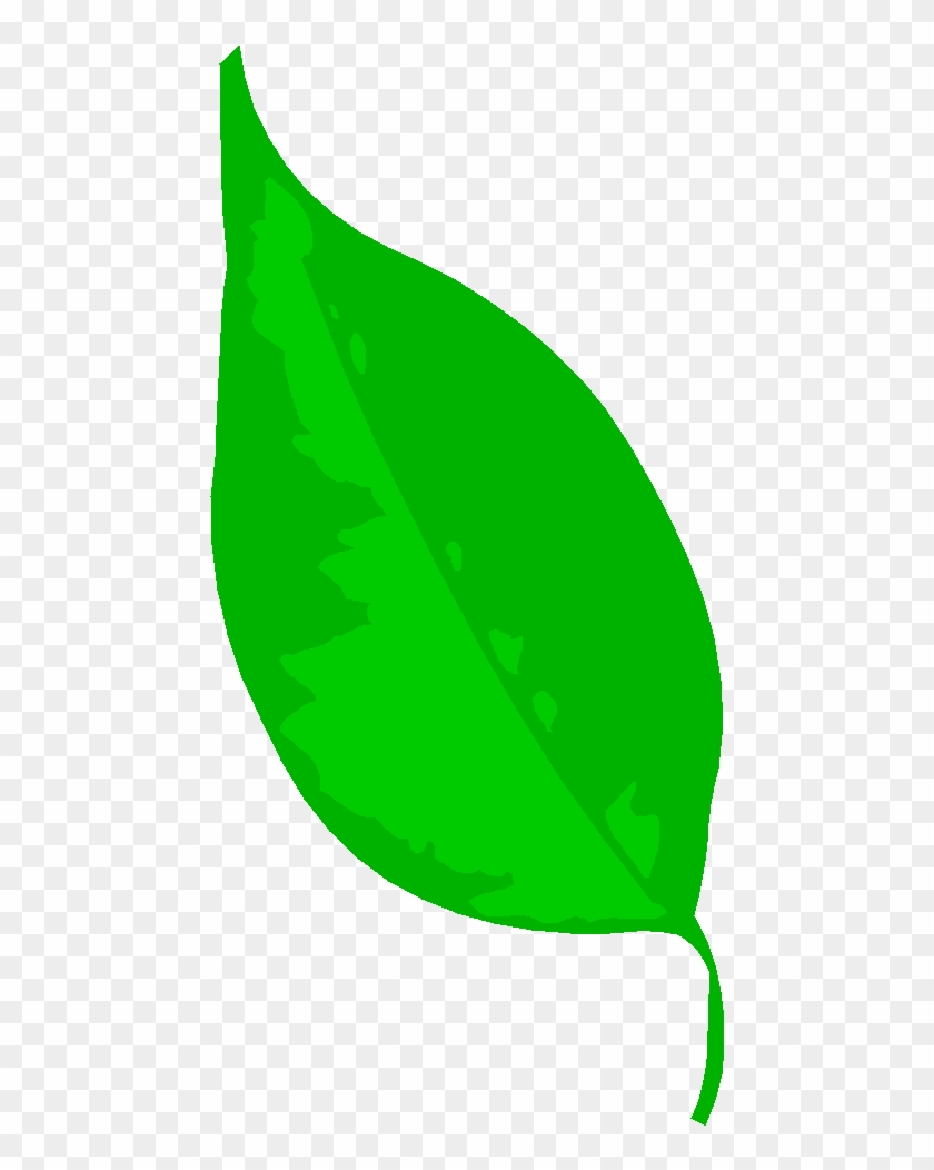 Circle The Leaf With 0 Bugs Clipart #4597097