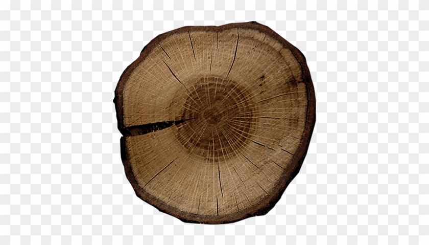 Victoriana Cedar Leaf - Wood Clipart #4597441