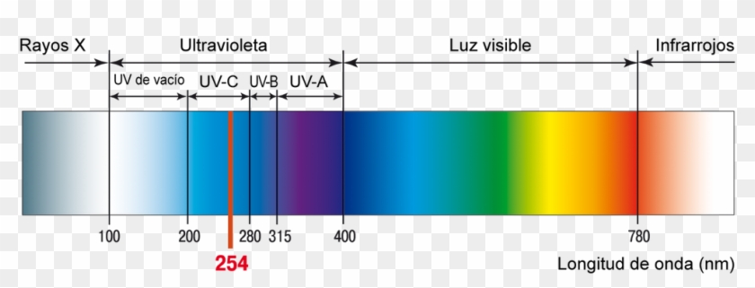 Infrarrojos - - Radiacion Ultravioleta Longitud De Onda Clipart #4599225