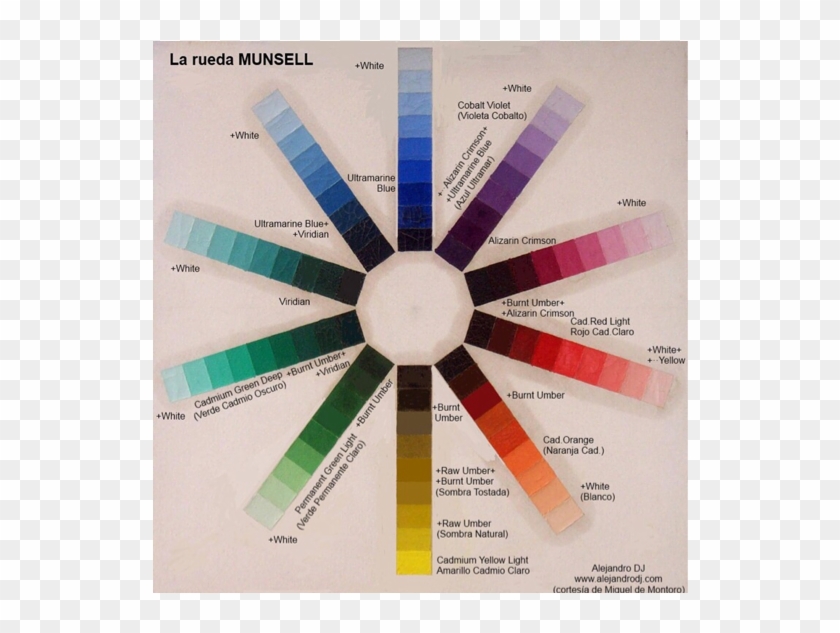 Rueda De Munsell - Sistema De Colores Munsell Clipart #4599563