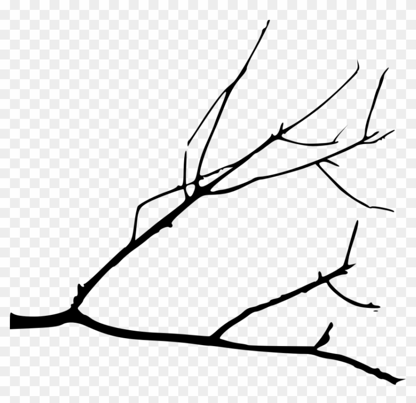 Free Png Simple Tree Branch Png - Simple Tree Branch Drawing Clipart #462034