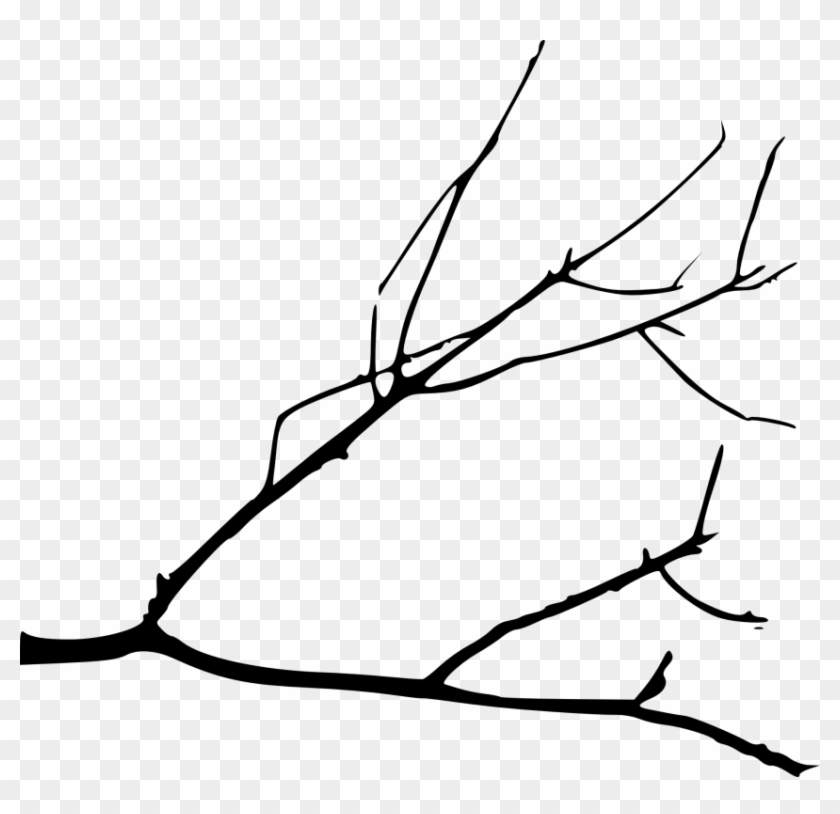 Free Png Simple Tree Branch Png - Simple Tree Branch Drawing Clipart