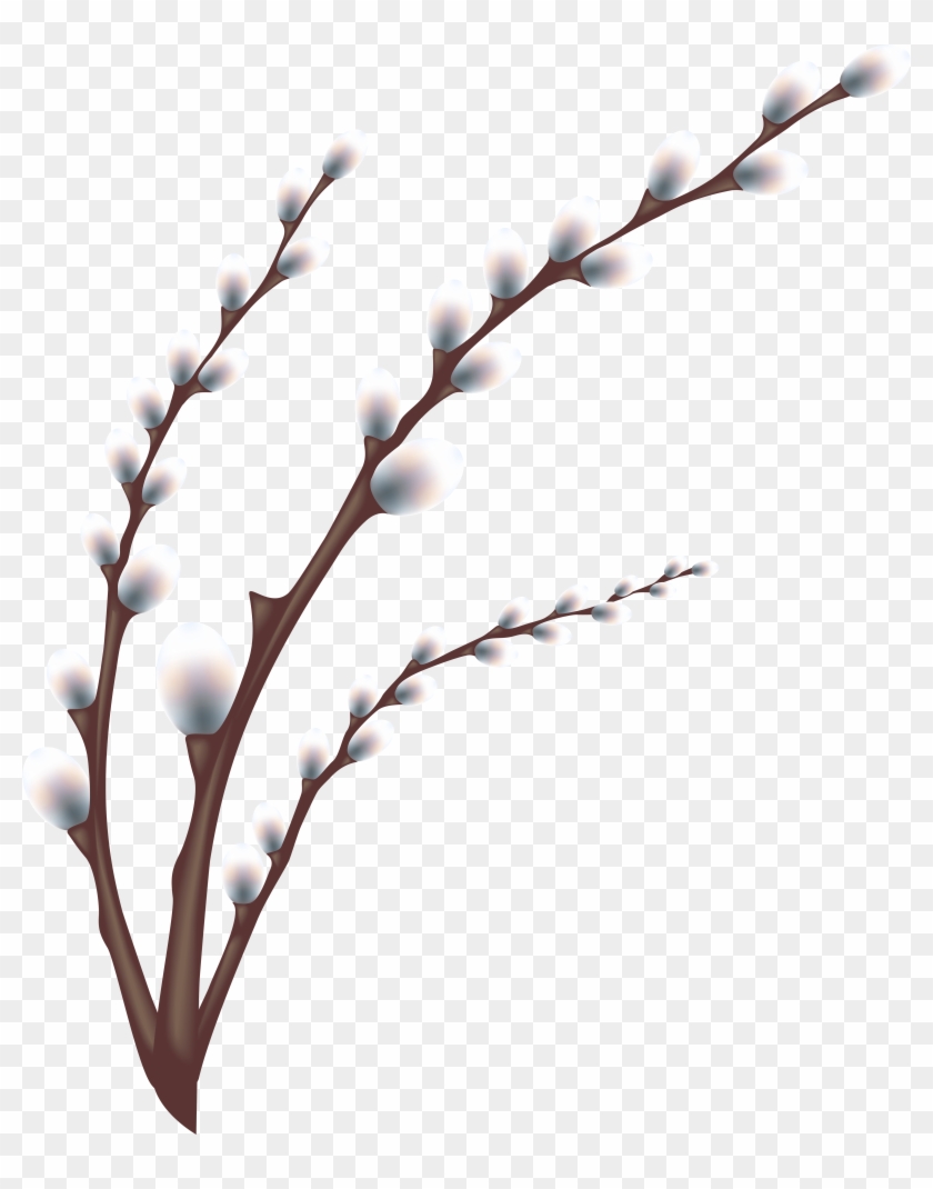 Easter Willow Tree Branch Transparent Png Clip Art - Tree Branch Transparent #462400