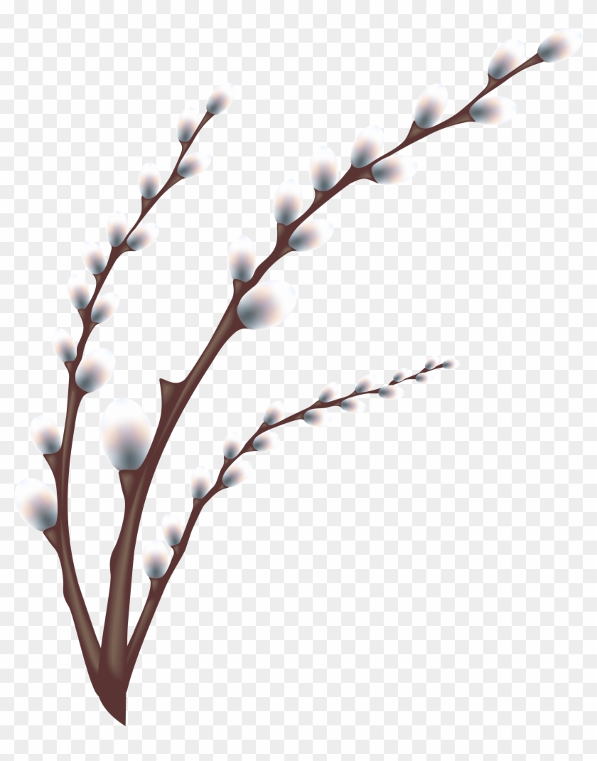 Easter Willow Tree Branch Transparent Png Clip Art - Tree Branch Transparent