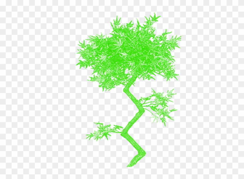 640 X 640 4 - Plants And Trees Clipart #462511