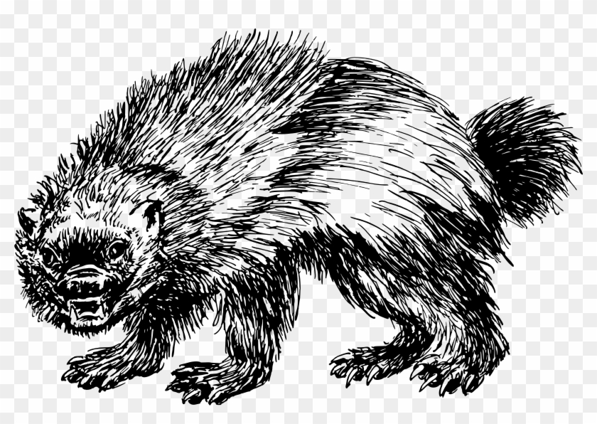 Wolverine Png Clipart