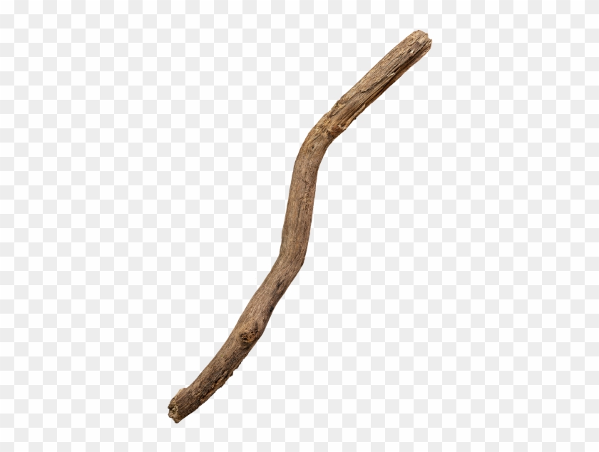Tree Branch - Snake Clipart #462651