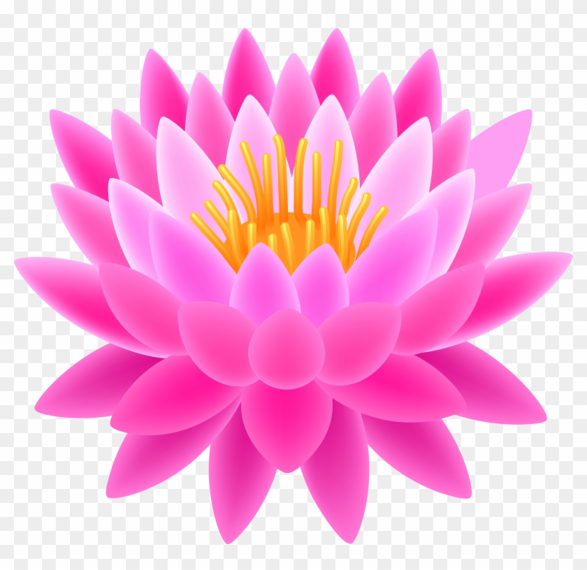 Free Png Download Lotus Flower Transparent Background - Lotus Flower Images Hd Png Clipart #462674