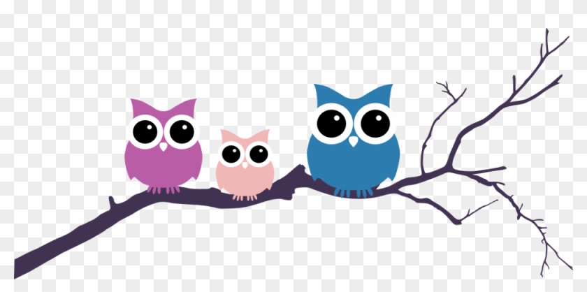 Three Owls Tree Branch - Owl On Tree Clipart - Png Download