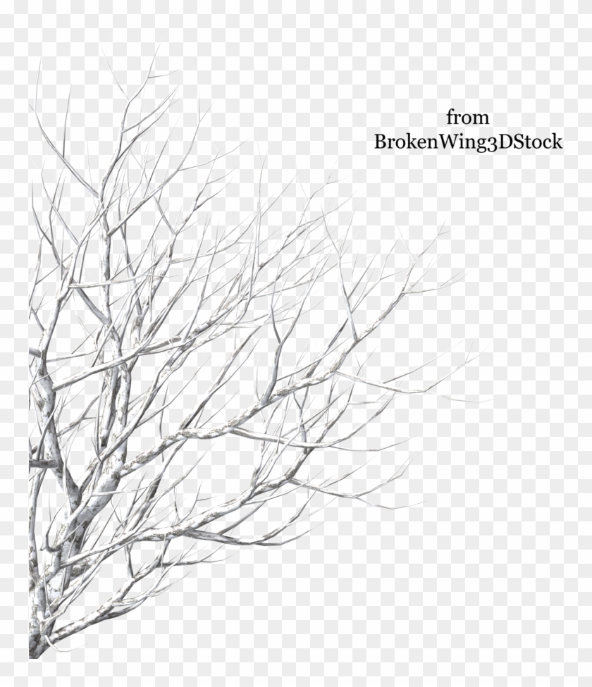 Cut Out Tree Winter Png Clipart #462784