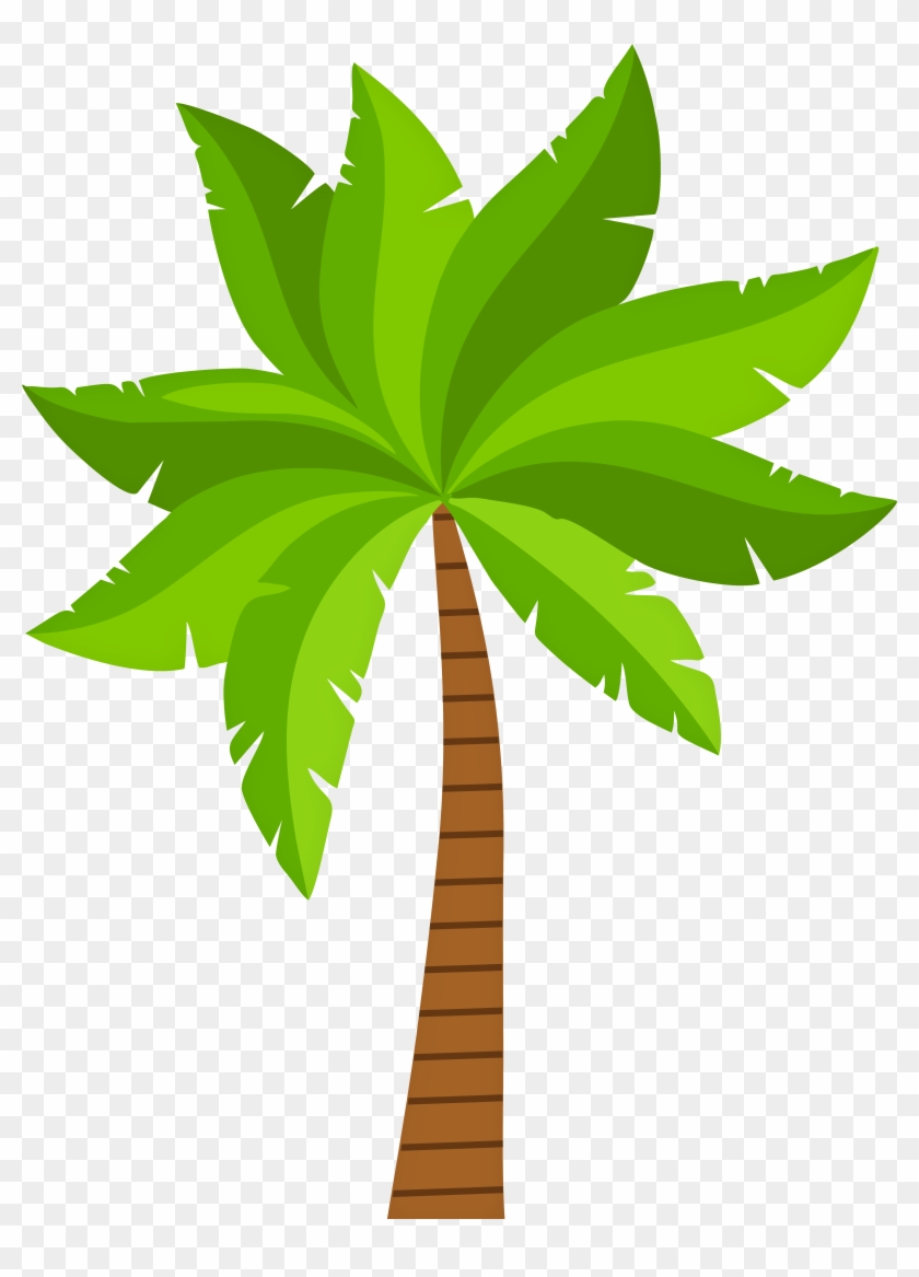 Palm Png Clipart - Png Clipart Palm Transparent Png