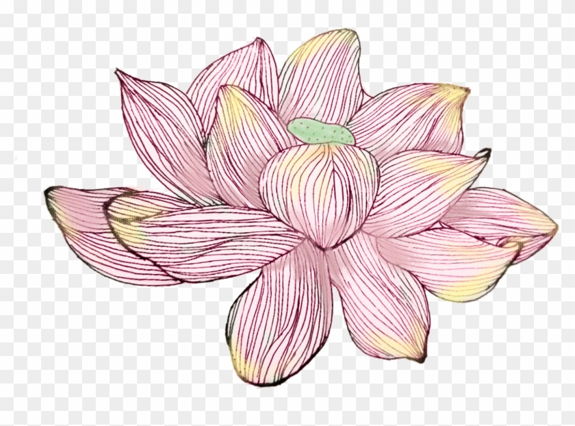 Hand Painted Writing Poetry Watercolor Lotus Png And - Sacred Lotus Clipart