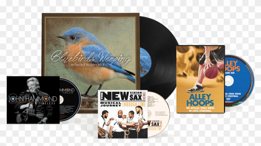 Disc Makers Offers Personalized Cd Design Services, - Finch Clipart #464423