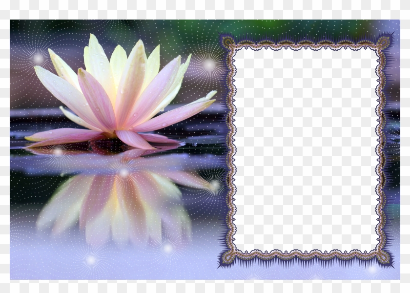 Lotus Transparent Png Photo Frame - Poson Poya Day Wishes In Sinhala Clipart #464477