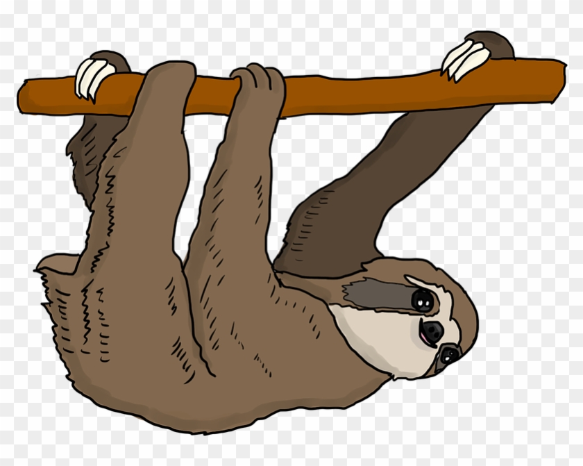 Sloth Tree Sloth Hanging Cute Mammal Cartoon - Sloth Clipart - Png Download #464521