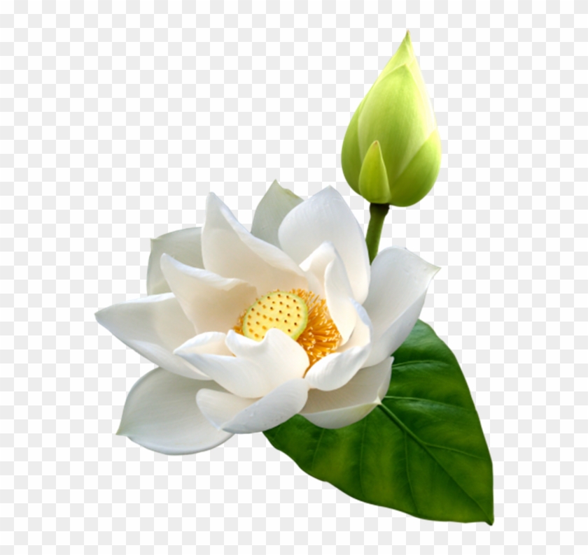 สุขสันต์ วัน ต่างๆ Clipart #465377