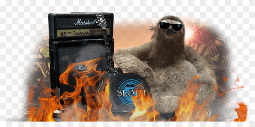 Social Behaviours - - Sloth Clipart #465696