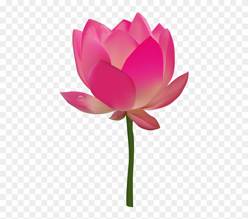Pink Flower Transparent Vector Clipart #465742