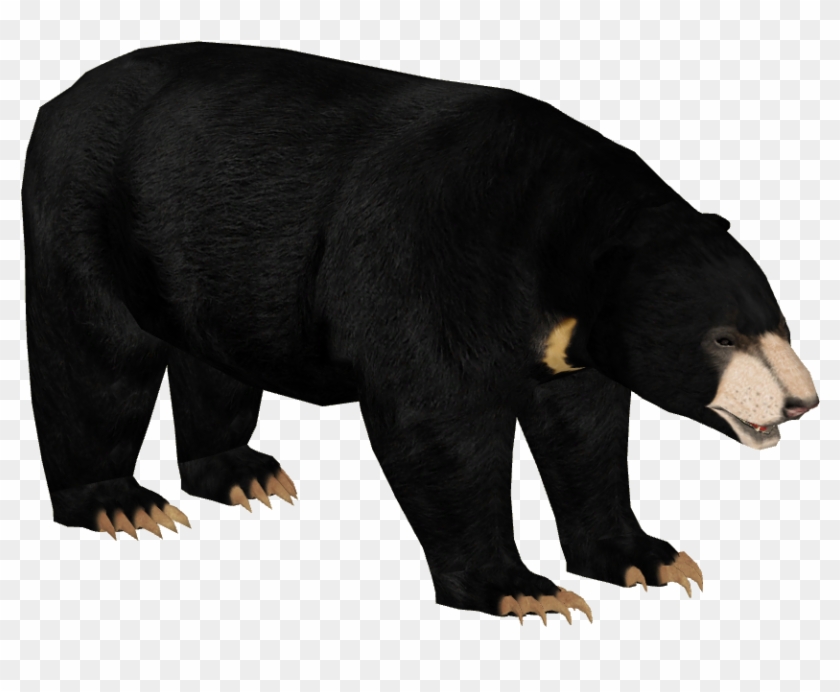 Zt2 Sloth Bear , Png Download Clipart #465789