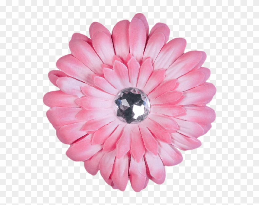Light Pink Flower - Barberton Daisy Clipart #466152