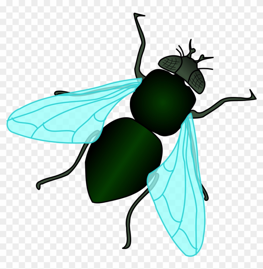 Fly Background Png - Cartoon House Fly Clipart #466200