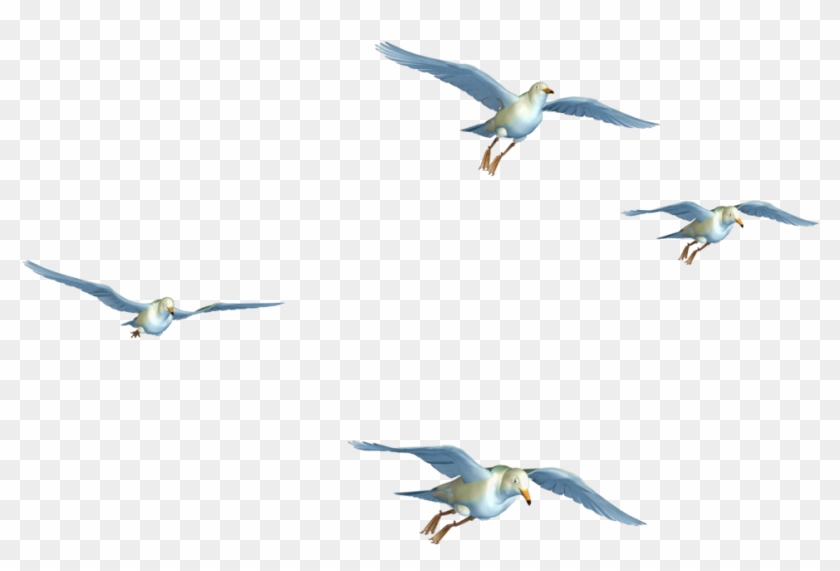 Fly Clipart Png Transparent Png #466360