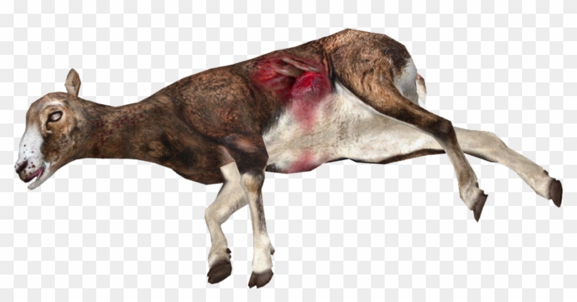 Dead Mufflon Sheep - Dead Sheep Png Clipart